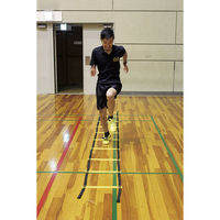 サンラッキー トレーニング用 ラダー AGL100 1個