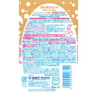 あわあわランド すみっコぐらし ミックスフルーツの香り 300ml 1本 白元アース