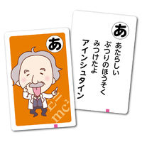 アーテック 英雄かるた 7417 1セット