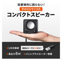 サンワサプライ コンパクトUSBスピーカー MM-SPU21BK 1個