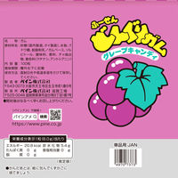 どんぐり グレープ 1袋（100粒入） パイン キャンディ 飴 あめ