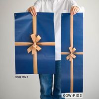 【アウトレット】ヘッズ 掛け紙ワイド型/フォトプリント金リボンー2 KGW-RIG2 1パック(30枚入)