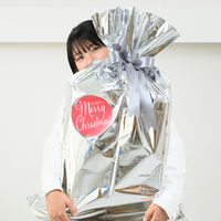 【クリスマス】ヘッズ クリスマスギフトシール丸型ー5/レッド XP-5S 1パック（30枚入）