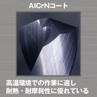 トラスコ中山 TRUSCO エンドミル 超硬ロングネックスクエアエンドミル2枚刃φ1X10 AC40-TLNE2010-10 1本（直送品）