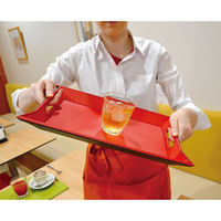 メテックス EXELUX フリーフォームトレー(Mサイズ) TDFF-ORTO4-M 1個（直送品）