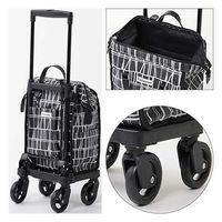 カインドウェア フィンレイソン　横押しカート コロナ CH290125A01 1台（直送品）