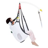 モリトー エヴァ　フル　小サイズ EVE250 1枚（直送品）