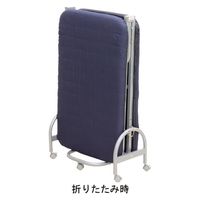 大商産業 収納カウチベッド KSB-257　BL KSB-257BL 1台（直送品）