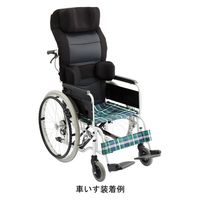 帝健 車いすサポートシートαセット ブラック M66KG21AP 1セット（直送品）