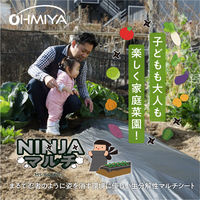 オーミヤ MS-64BK10 NINJAマルチ 10mMS-64BK10　1枚（直送品）