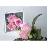 ヤマムラ アイチェックミラー　3個セット YDL-30 1セット（3個入）（直送品）