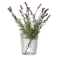 杉田エース AFFARI OF SWEDENクララベースS D11/H10 083ー105ー03 CWB955705 1セット(10個)（直送品）