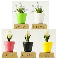 杉田エース XALAXALA フレックスポット 25cm ダークグレー CWZ954412 1セット(3個)（直送品）