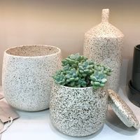 杉田エース D&M depotALLURE 蓋付キポット D13 ナチュラル CWJ955719 1セット(2個)（直送品）