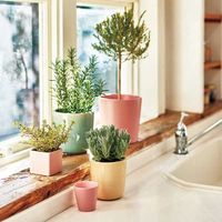 杉田エース D&M depotキューブポット D11 ピンク CWJ955237 1セット(3個)（直送品）