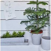 杉田エース AFFARI OF SWEDENラケルポット ライトグレー W38 081ー232ー05 CWB955951 1セット(3個)（直送品）