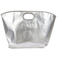 杉田エース Sunny Lifeエコライトバッグ メタリック S10LEVMS CXB645552 1セット(2個)（直送品）