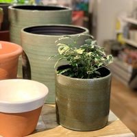 杉田エース SERAXストラクチャーポット グリーン D24 CWW694544 1個（直送品）