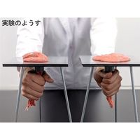 ナリカ 火山噴火モデル実験器 KRーV K50-1191 1セット（直送品）