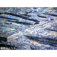 ナリカ コマチアイトプレパラート L55-6191 1個（直送品）