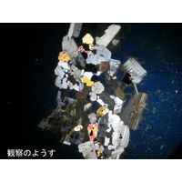 ナリカ 軽石プレパラート(1枚) L55-6192 1個（直送品）