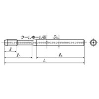 彌満和製作所 アルミ鋳抜き穴加工用スパイラルタップ(メートルねじ) ACHSPP4M10X1.25 1本（直送品）