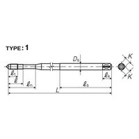 彌満和製作所 ロング高速用スパイラルタップ LS-F-SPL100P2M6X1 1本（直送品）