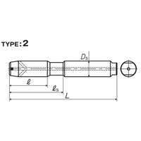彌満和製作所 超高速用鋳鉄用止り穴用超硬ハンドタップ HFICT-PP3M12X1.75 1本（直送品）
