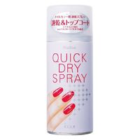 KOJI（コージー） クイックドライスプレーII 100g 10個 コージー本舗