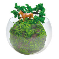 アーテック テラリウムDio 58249 1セット