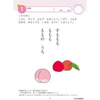 シルバーバック 七田式知力ドリル 34さい あんしょう 10040 1セット(2冊)（直送品）