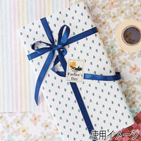 ＨＥＩＫＯ ギフト包装紙 半才 アミーゴ 002416006 1セット(50枚入×10袋 合計500枚)（直送品）