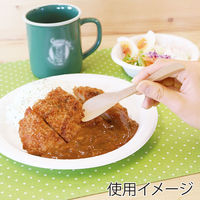 先割ペーパースプーン １５ＢーＦ 004520119 1セット(100本入×30袋 合計3000本) アオトプラス（直送品）