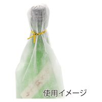 ノーブランド カラータイ 4×160 500本 004742194 1セット(1束入×100束 合計100束)（直送品）