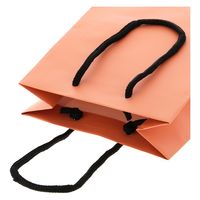 ＨＥＩＫＯ 手提げ紙袋　ブライトバッグ Ｔー３ ジョリーコーラル（マットタイプ） 006143146 1セット(10枚入×5袋 合計50枚)（直送品）