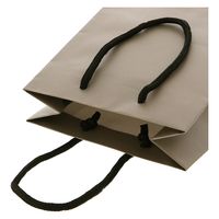 ＨＥＩＫＯ 手提げ紙袋　ブライトバッグ Ｔー３ ウォームグレー（マットタイプ） 006143149 1セット(10枚入×5袋 合計50枚)（直送品）