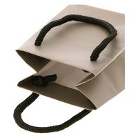 ＨＥＩＫＯ 手提げ紙袋　ブライトバッグ Ｔー５ ウォームグレー（マットタイプ） 006143349 1セット(10枚入×5袋 合計50枚)（直送品）