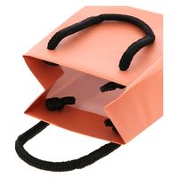 ＨＥＩＫＯ 手提げ紙袋　ブライトバッグ Ｔー５ ジョリーコーラル（マットタイプ） 006143346 1セット(10枚入×5袋 合計50枚)（直送品）