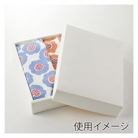 ＨＥＩＫＯ 洋品箱　ソフィアボックス ＳＯー００４ 無地 006857253 1セット(10枚入×10袋 合計100枚)（直送品）