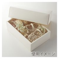 ＨＥＩＫＯ 洋品箱　ソフィアボックス ＳＯー００３ 無地 006857252 1セット(10枚入×10袋 合計100枚)（直送品）