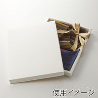 ＨＥＩＫＯ 洋品箱　ソフィアボックス ＳＯー００８ 無地 006857257 1セット(10枚入×10袋 合計100枚)（直送品）