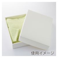 ＨＥＩＫＯ 洋品箱　ソフィアボックス ＳＯー０１５ 無地 006857263 1セット(10枚入×10袋 合計100枚)（直送品）