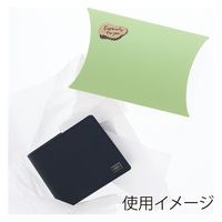 ＨＥＩＫＯ ギフトボックス　ピロー型 ＡＸー６ ピスタチオ 006901003 1セット(10枚入×10袋 合計100枚)（直送品）