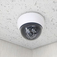 キャロットシステムズ ドーム型ダミーカメラ DD-128 1個