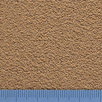 キョーリン ひかり メダカ幼魚 ハイパー育成 70g 269197 1個（直送品）