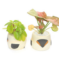 チャーム （観葉植物）おまかせミニ観葉　リトルアニマル　シマエナガ（１鉢）　固まる砂 347149（直送品）