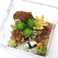 チャーム （観葉植物）多肉寄せ植え　ガラスベース（正方形）　Ｓサイズ　（１鉢） 368662（直送品）