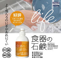 PROUP 食器の石鹸 IMP-CPL-500-T 1セット(3個)（直送品）