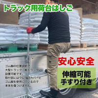 シンセイ 手すり付トラック用荷台はしごワイドPRO 伸縮タイプ 4582572513479 1セット(1個×2)