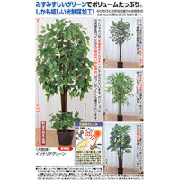 ファミリー・ライフ インテリアグリーン バンブー 04218 1個